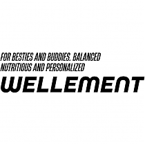 WELLEMENT