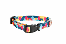 Ошейник Dog&Vogue Shape цветной 1,5см